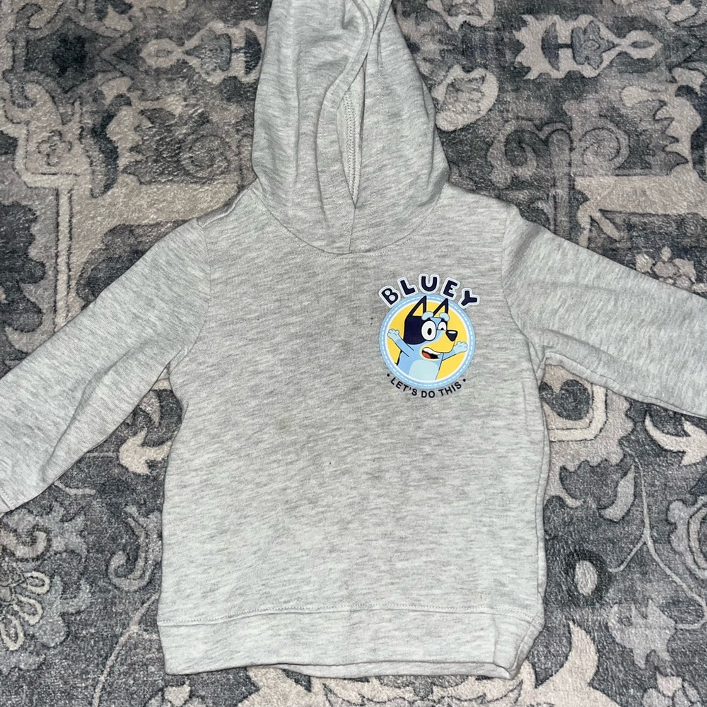 Kids Gray Bluey Hoodie